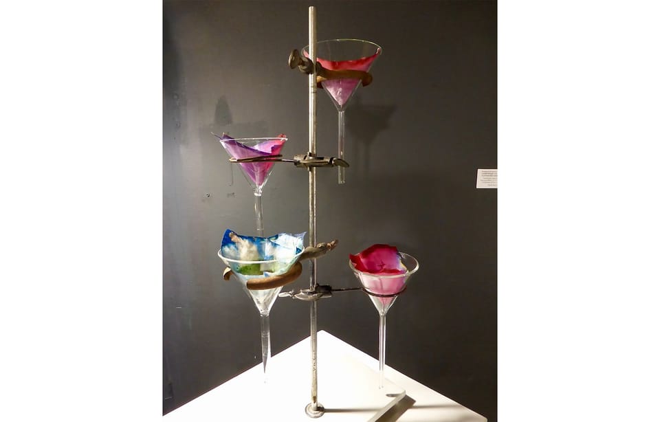 Φωτογραφία 5 από «Lala Art Group – «Phytologies-Topologies»»