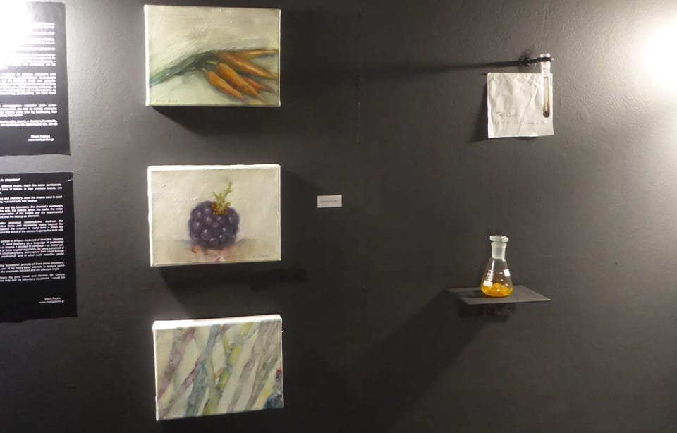 Φωτογραφία 11 από «Lala Art Group – «Phytologies-Topologies»»