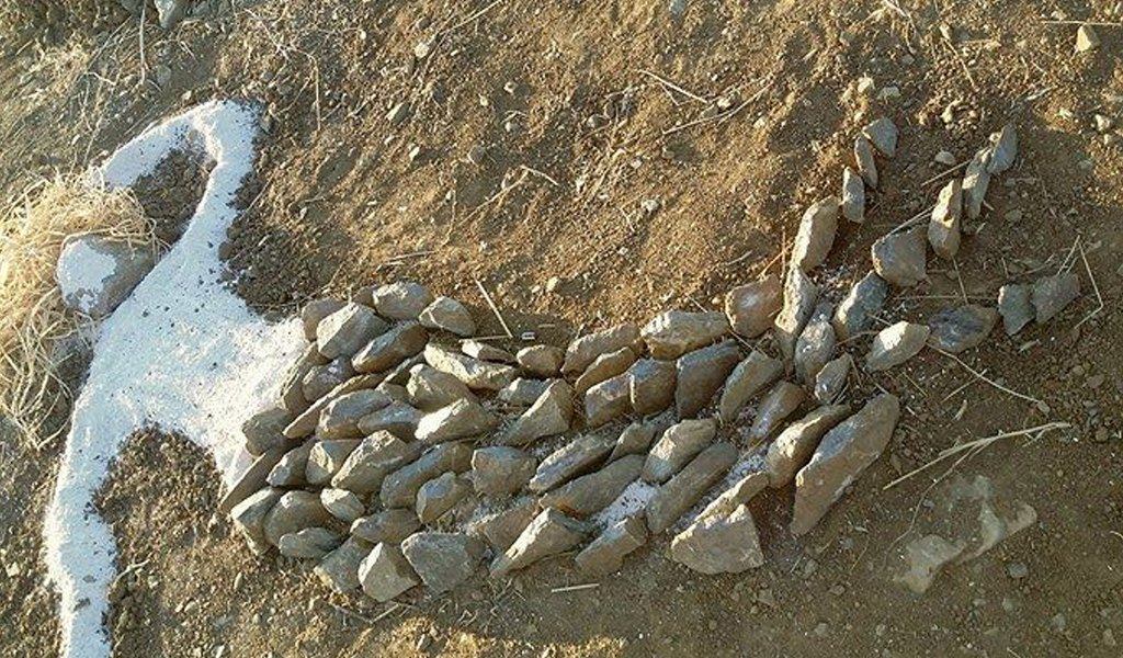 Land Art Cinema Project